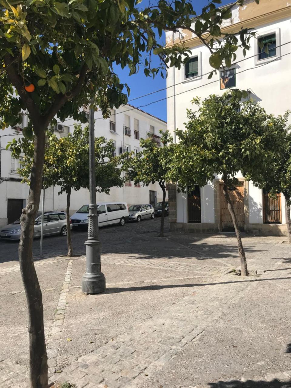 Apartamento !!Vive Jerez!! Херес-де-ла-Фронтера Екстер'єр фото